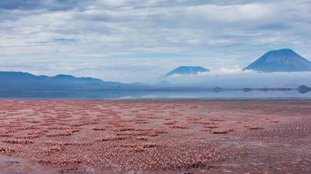 Wygląda jak raj, ale to pułapka. To jezioro..