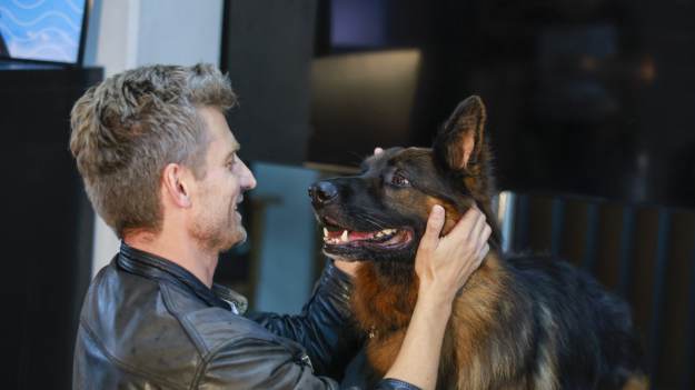 Są nowe wyniki oglądalności „Komisarza Alexa”...